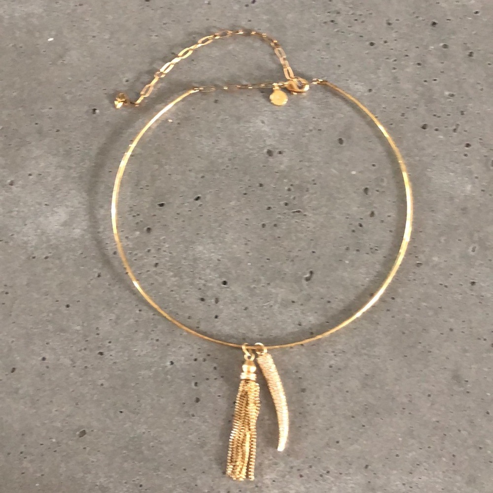 Stella and dot necklace with two charms
